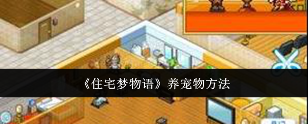 住宅梦物语宠物养成攻略，轻松掌握养宠技巧！